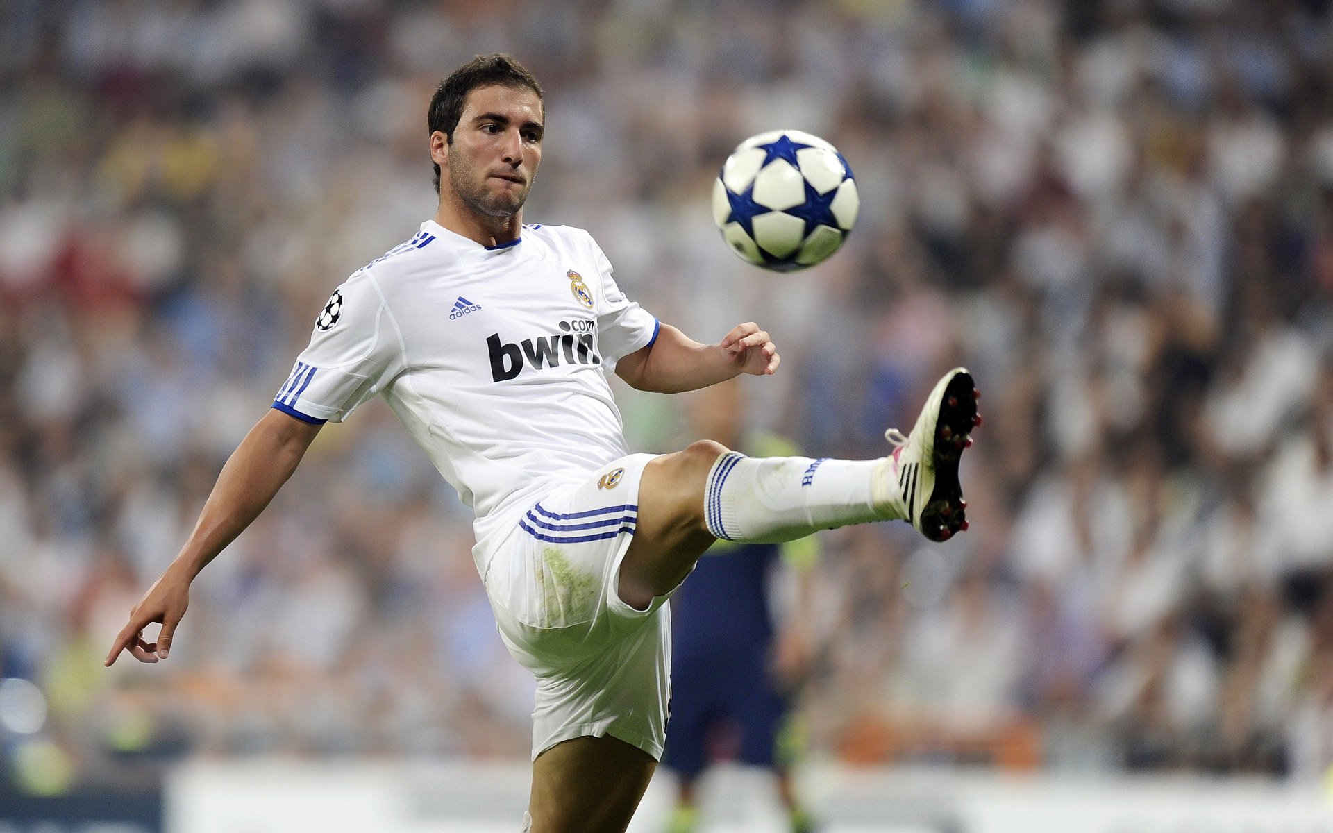 风暴降临，2026世界杯D组强强对话，喀麦隆狂胜韩国，范戴克以攻代守闪耀全场